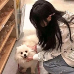 原力守护者国际版下载